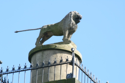 percy-lion-without-scaffolding_13719215135_o.jpg